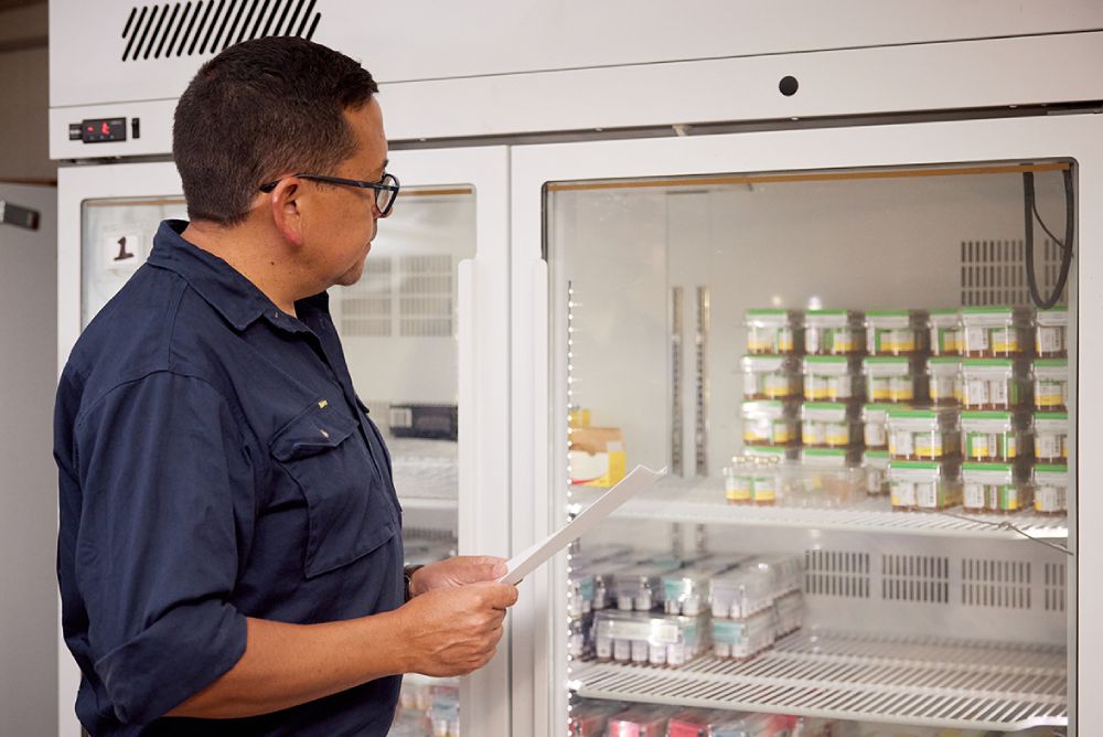 person inspecting refrigeration